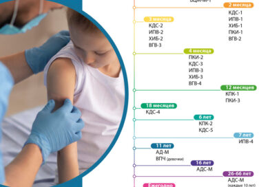 Национальный календарь профилактических прививок.